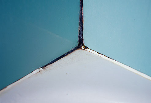 mould in bathroom 2